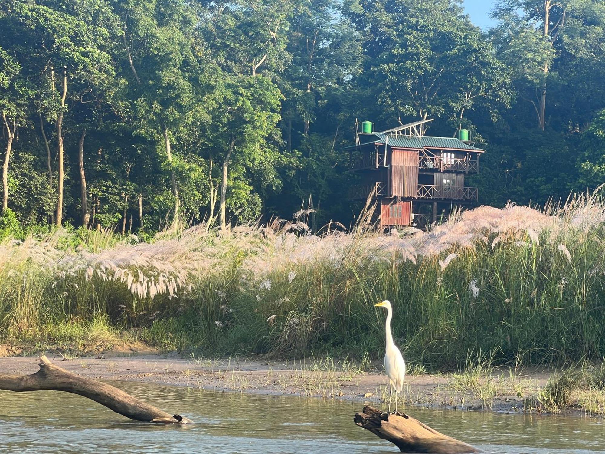 Hotel Chitwan Park Village Sauraha Dış mekan fotoğraf