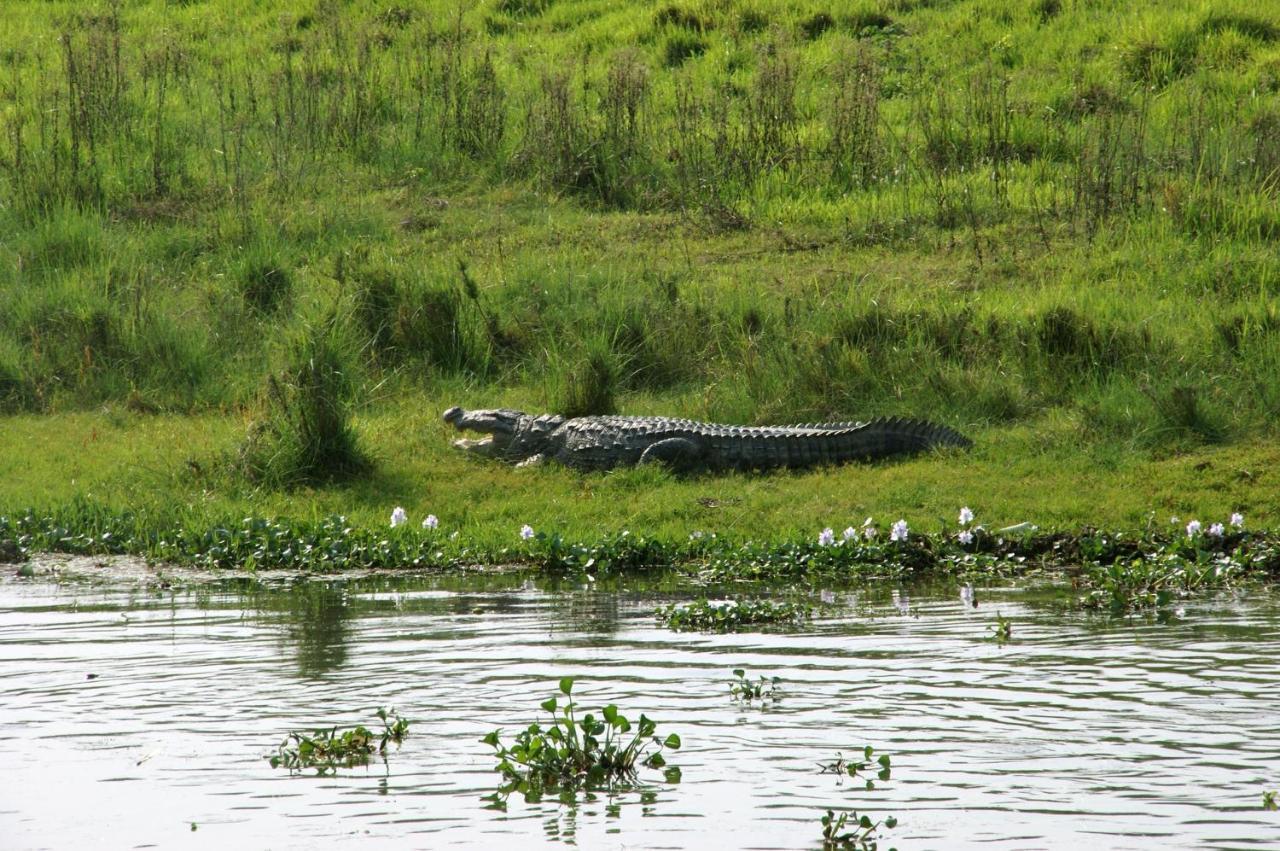 Hotel Chitwan Park Village Sauraha Dış mekan fotoğraf